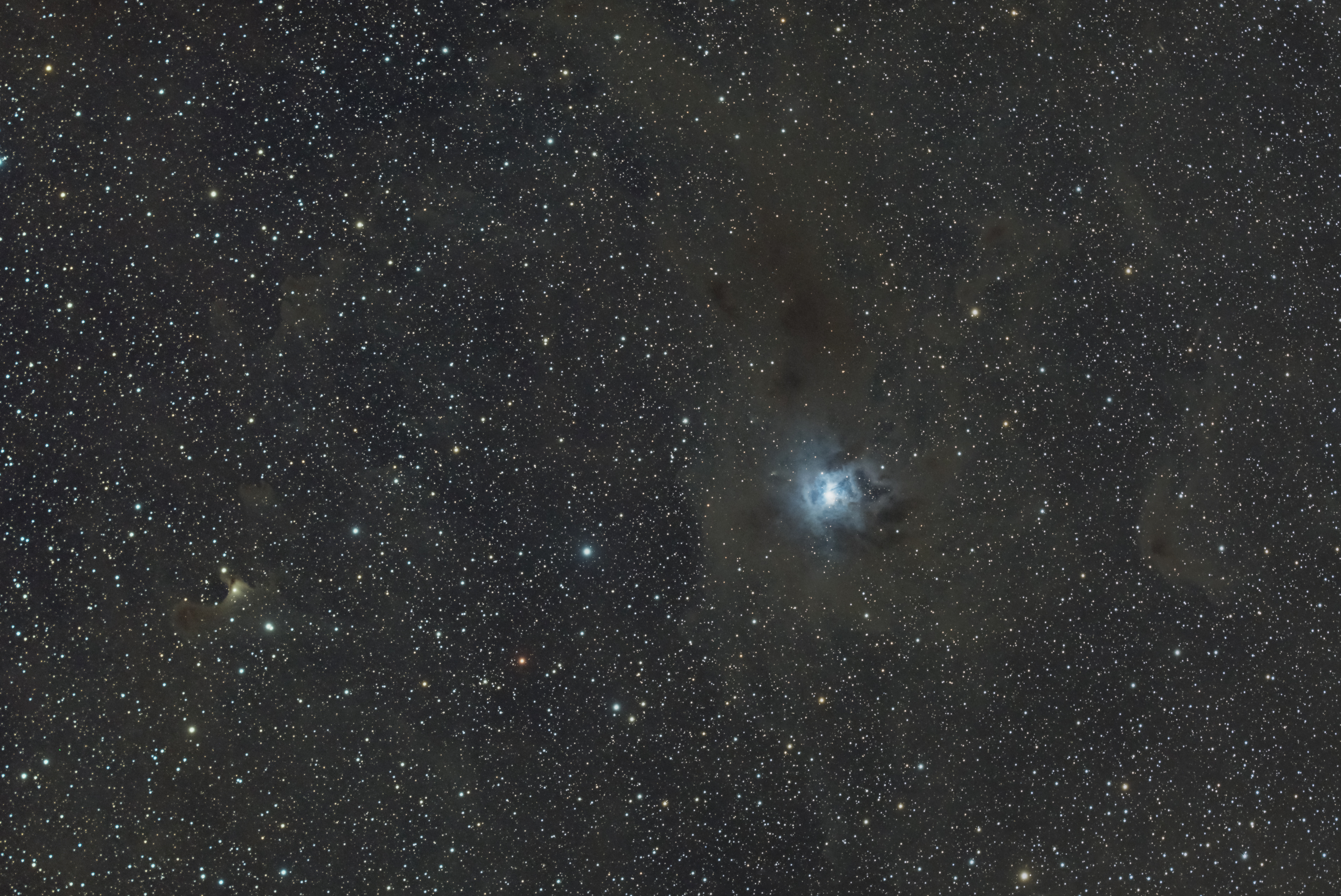 (NEB. RE) NGC7023 (l'Iris) U1iy