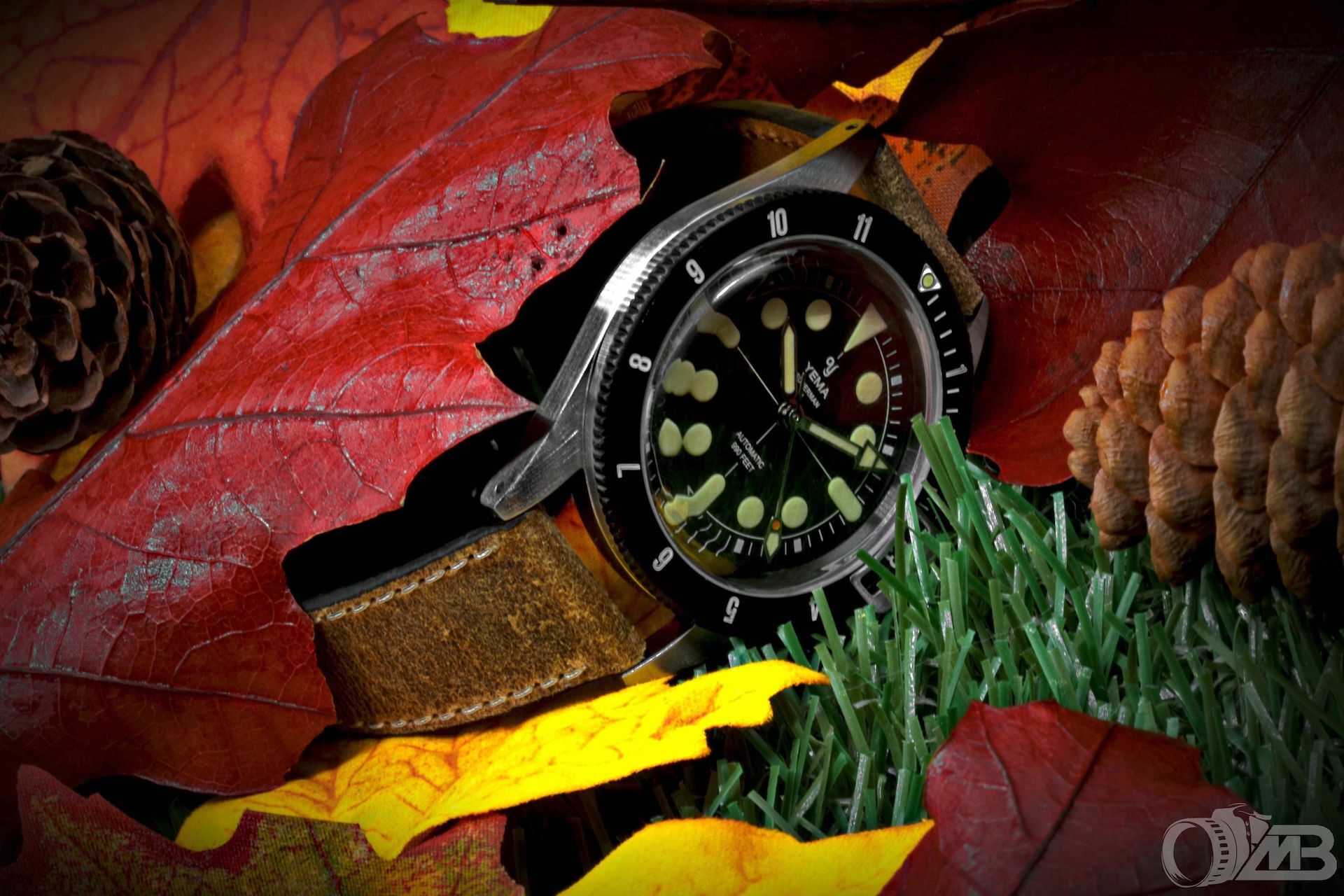 Couleurs d' Automne.... - Page 12 Wdkg