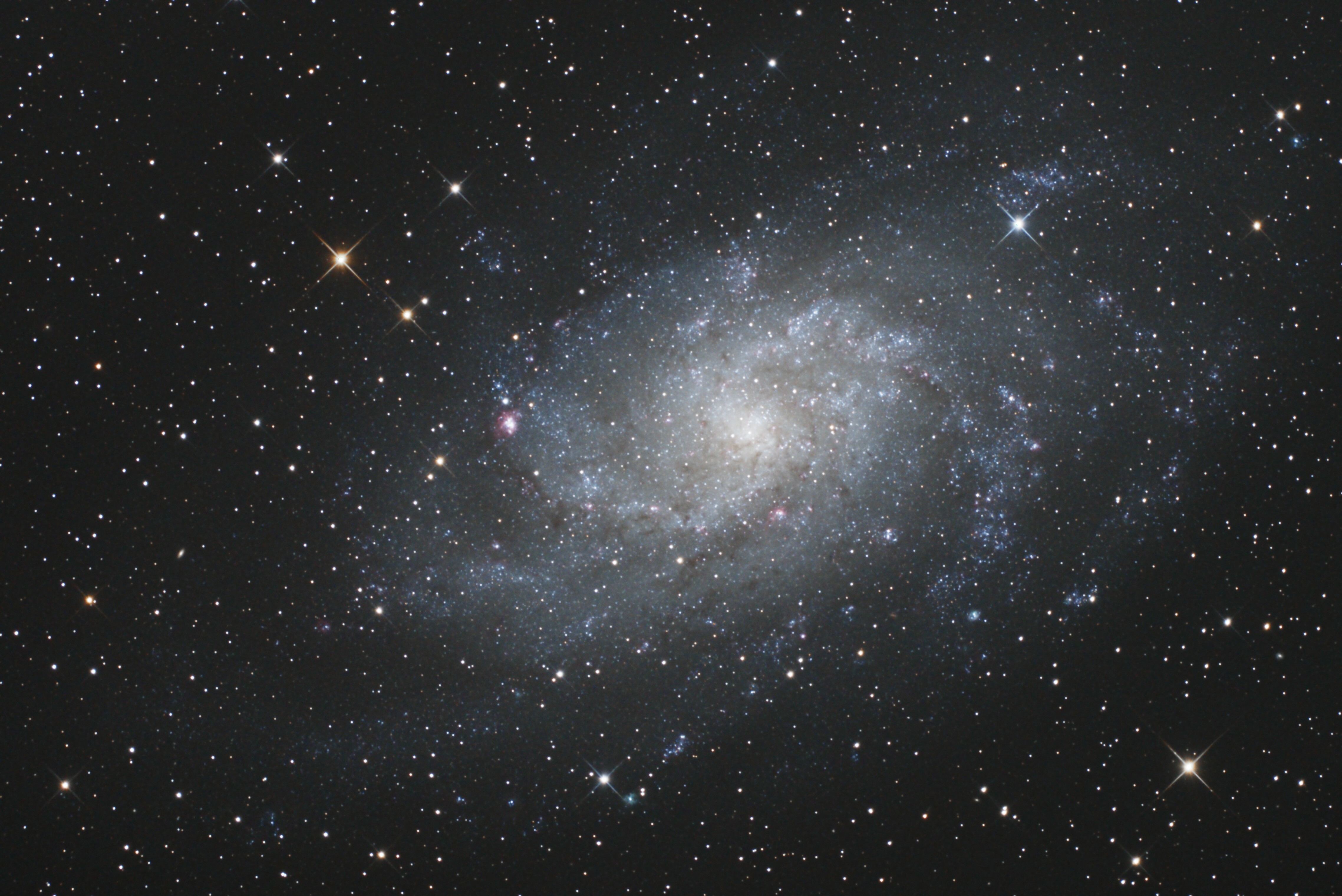 M 33 - Galaxie du Triangle M9cr
