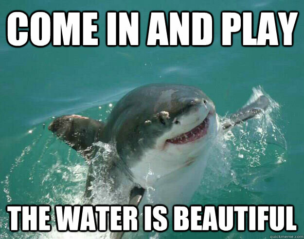 Come in and play, the water is beautiful !