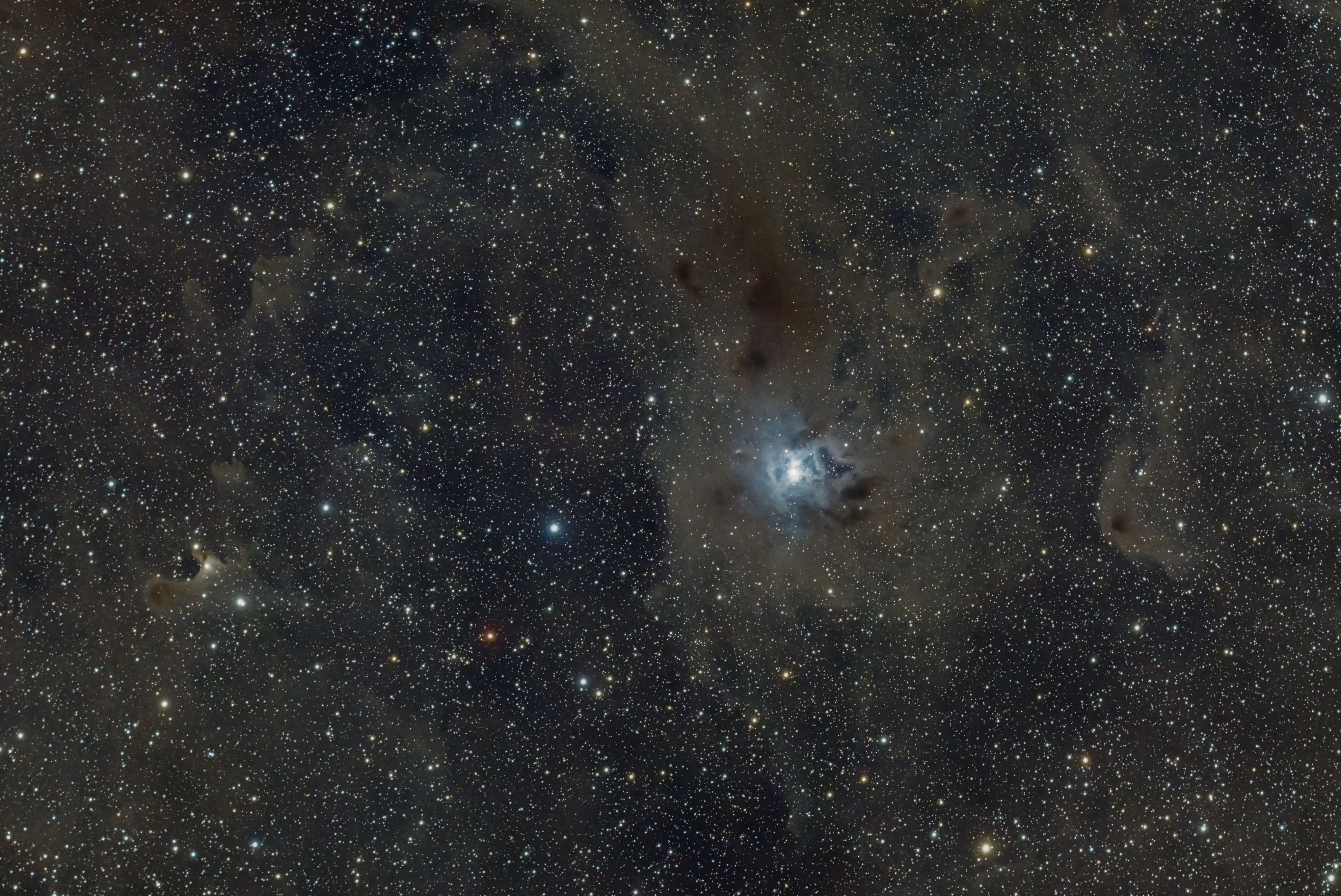 NGC7023 (l'Iris) Z50t
