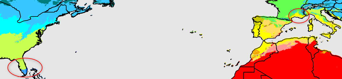 https://zupimages.net/up/21/48/c673.png