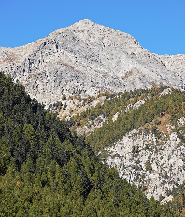 Carnet de route dans le QUEYRAS, et autour ...!  - FIN - - Page 7 65z4