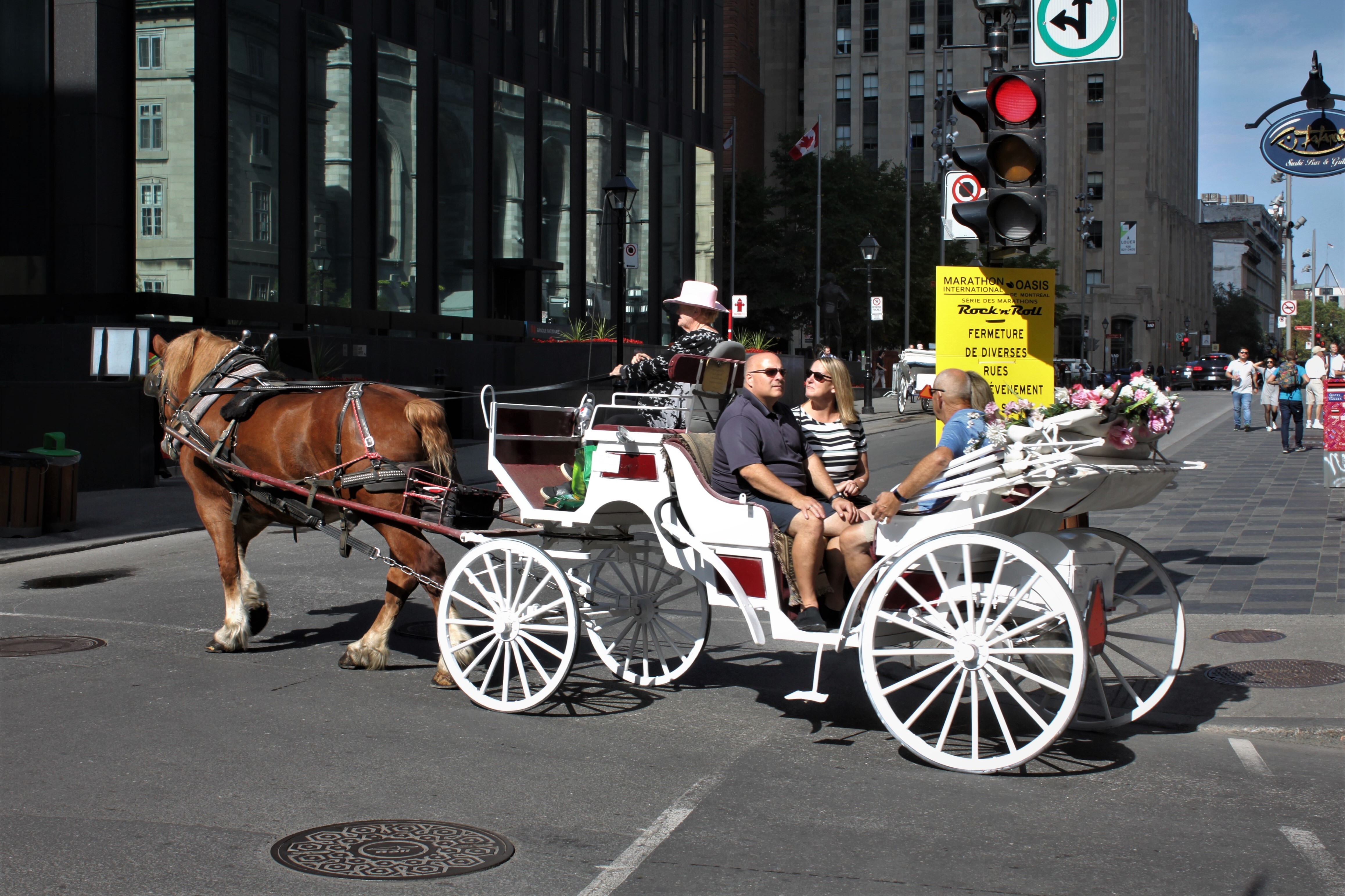 Tourists visiting Montreal by horse