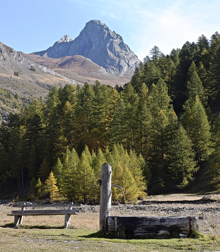 Carnet de route dans le QUEYRAS, et autour ...!  - FIN - - Page 9 90q3