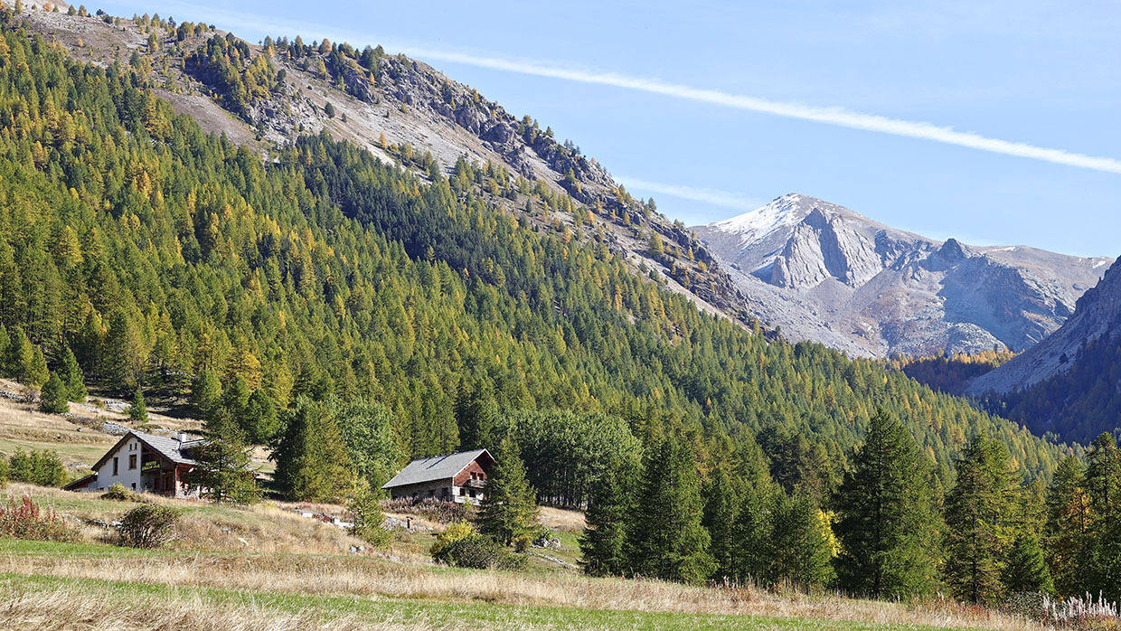 Carnet de route dans le QUEYRAS, et autour ...!  - FIN - - Page 8 Rrbu