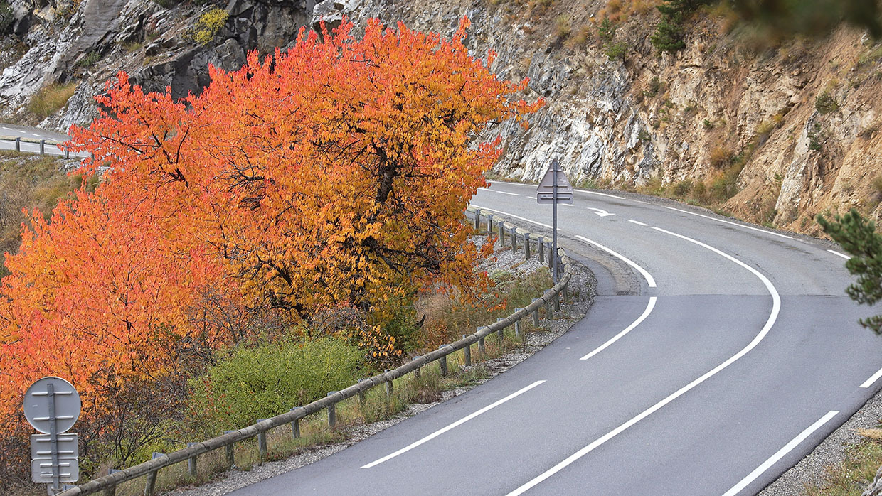 Carnet de route dans le QUEYRAS, et autour ...!  - FIN - - Page 13 5l3h