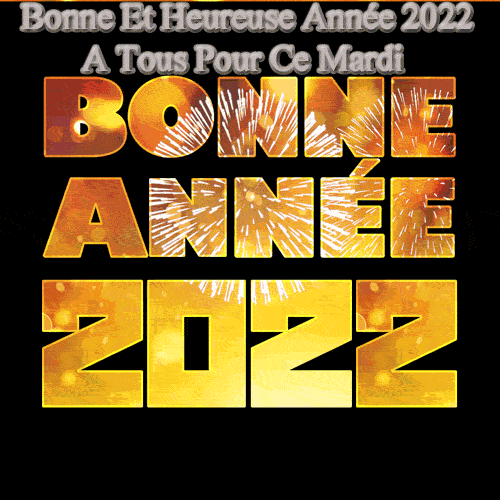 BONJOUR ET BONSOIR DE JANVIER  2022 - Page 2 Prl7