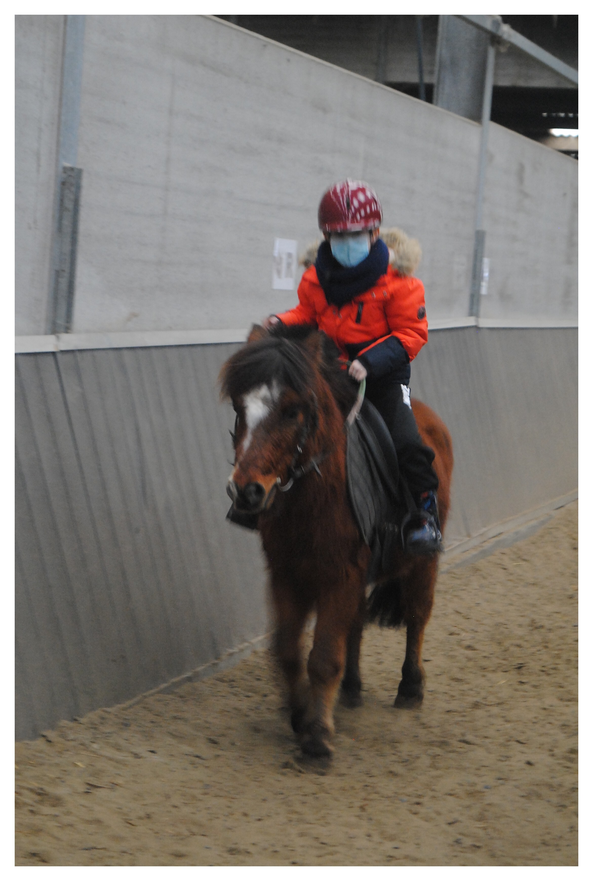 Nohan en leçon d'équitation Ugmz