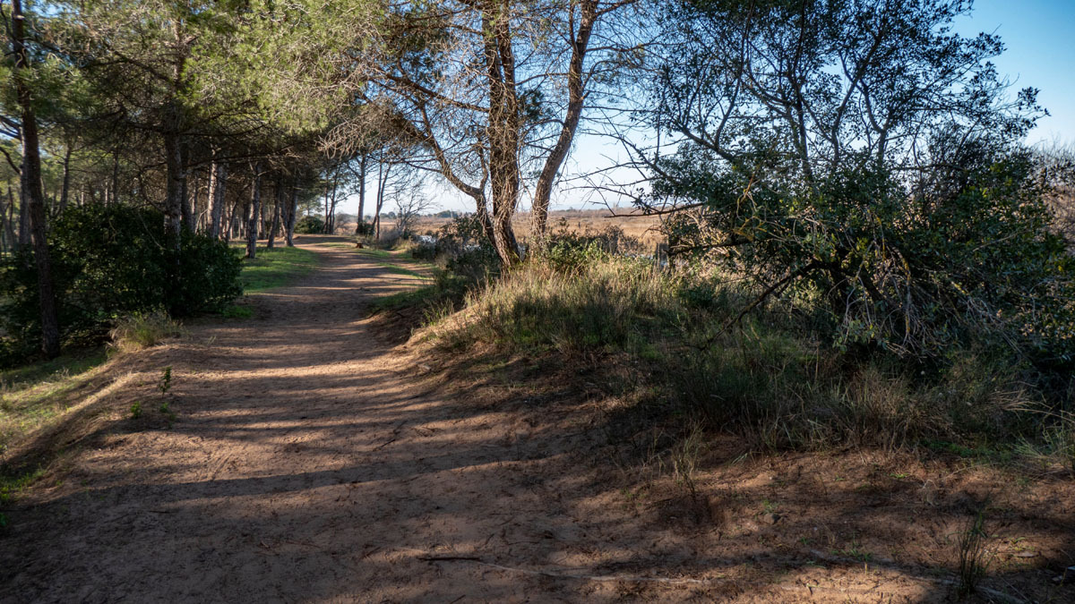 randonnée à pied à Agde quartier de la Tamarissière 521o