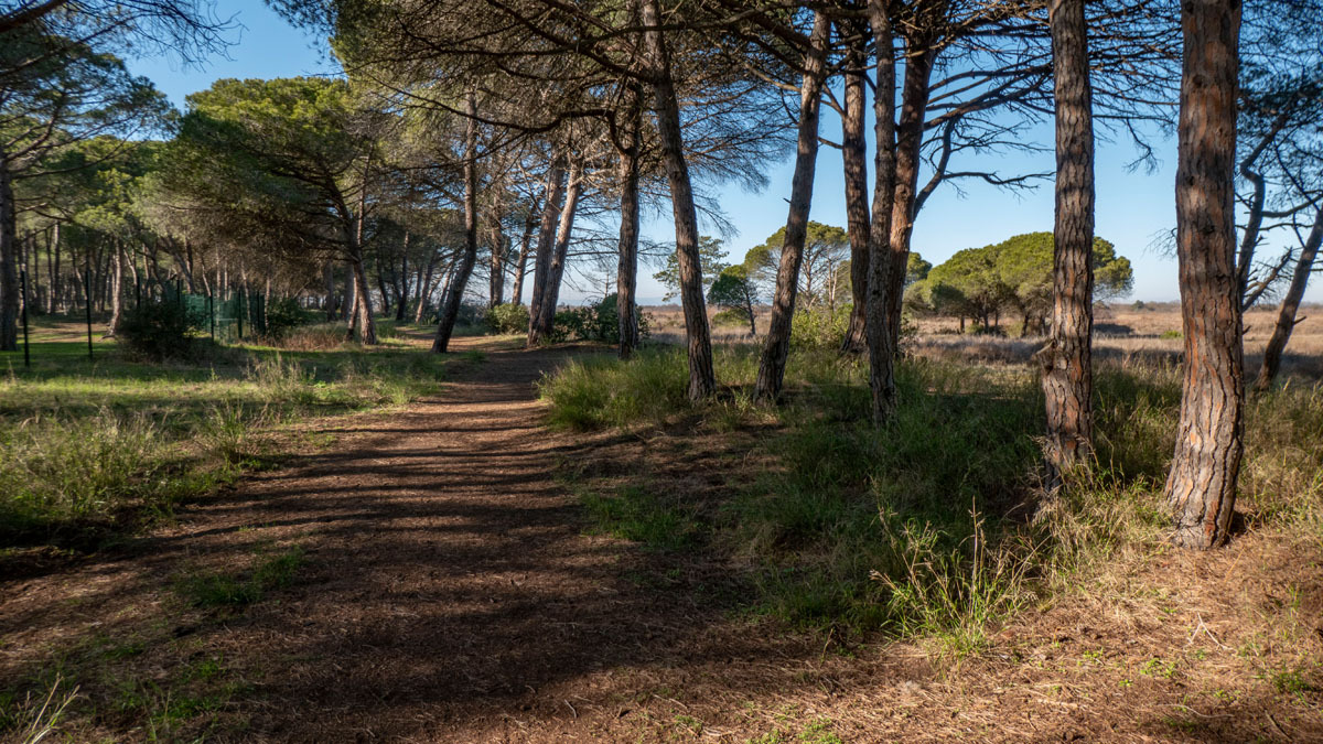 randonnée à pied à Agde quartier de la Tamarissière 5hga