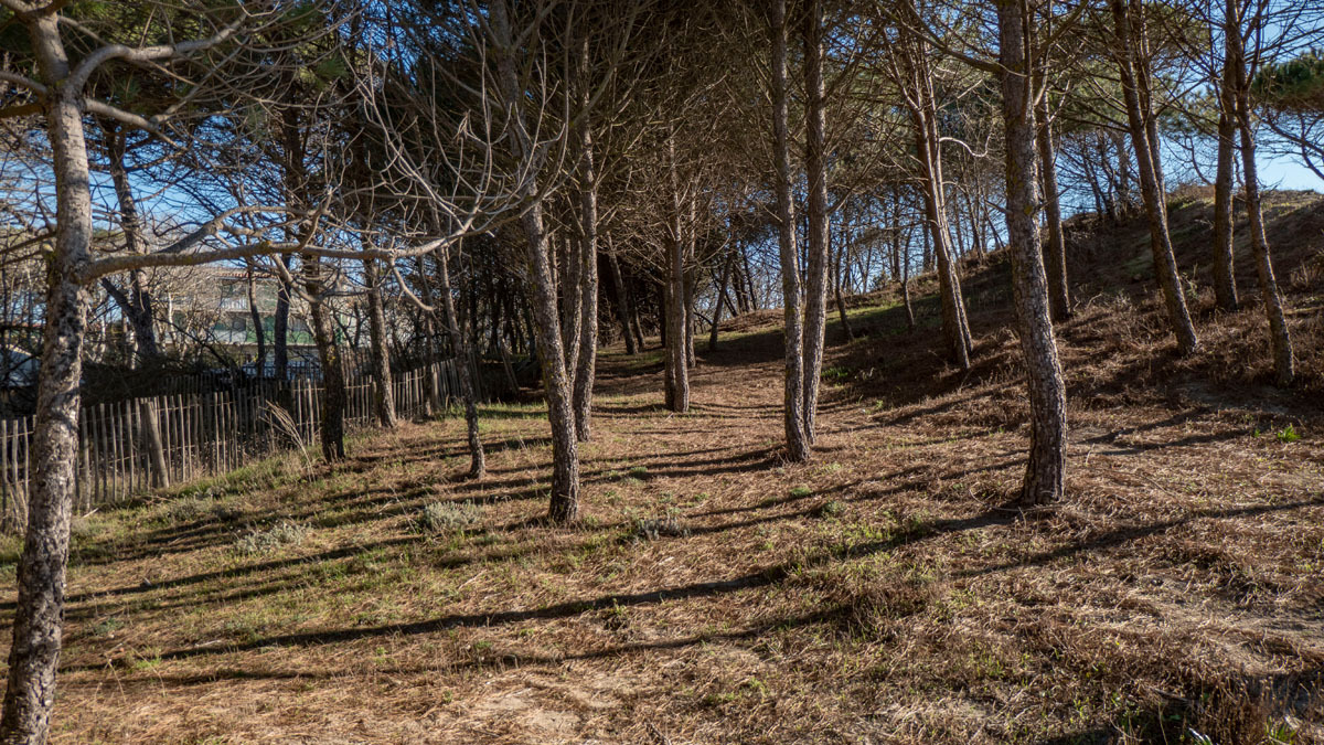 randonnée à pied à Agde quartier de la Tamarissière Dha6