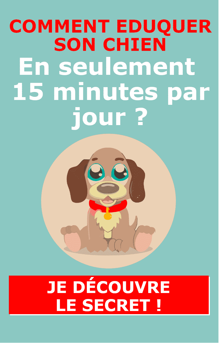 Comment dresser son chien en 15 minutes par jour