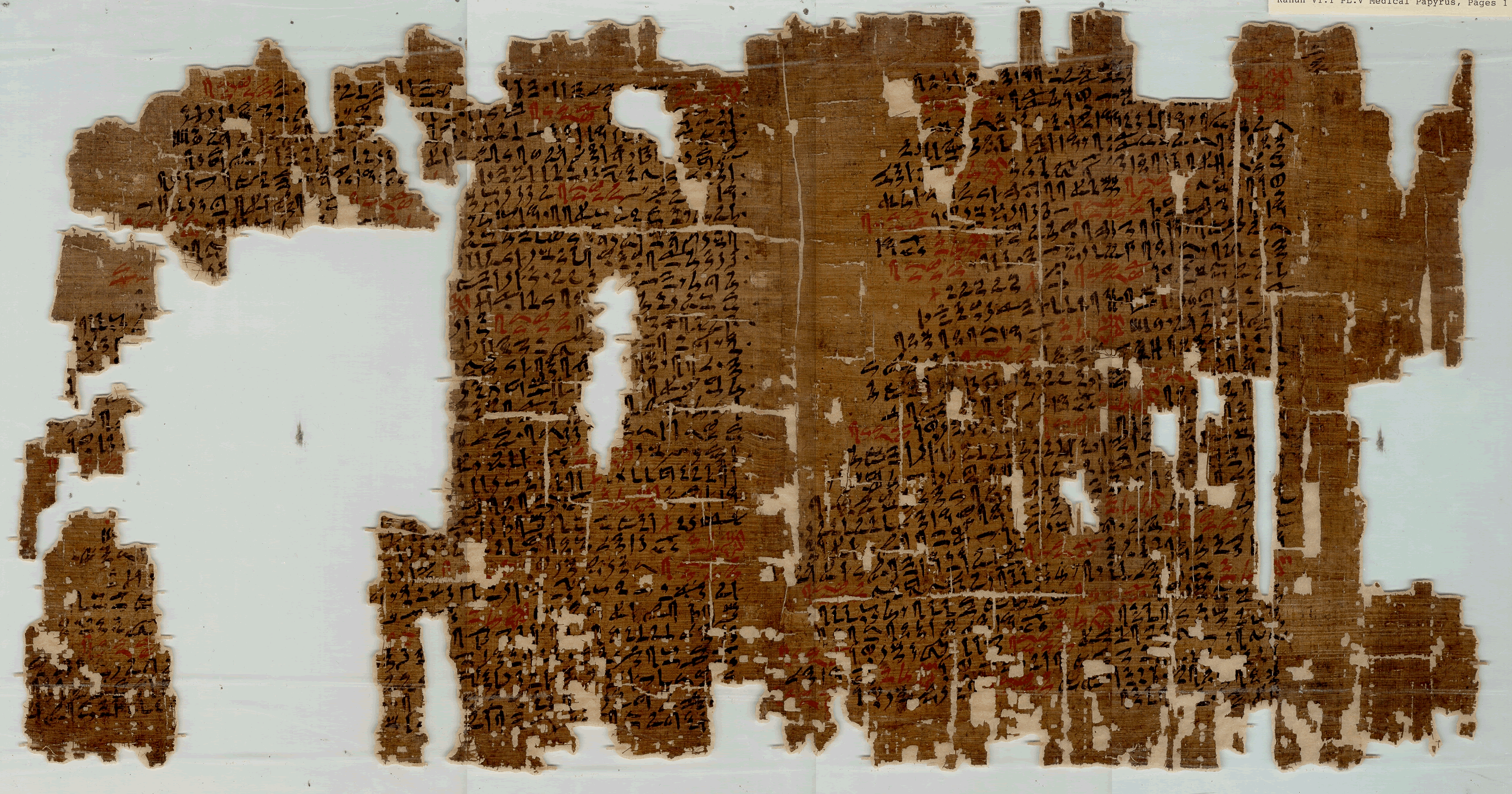 Papyrus gynécologique provenant de Kahoun
