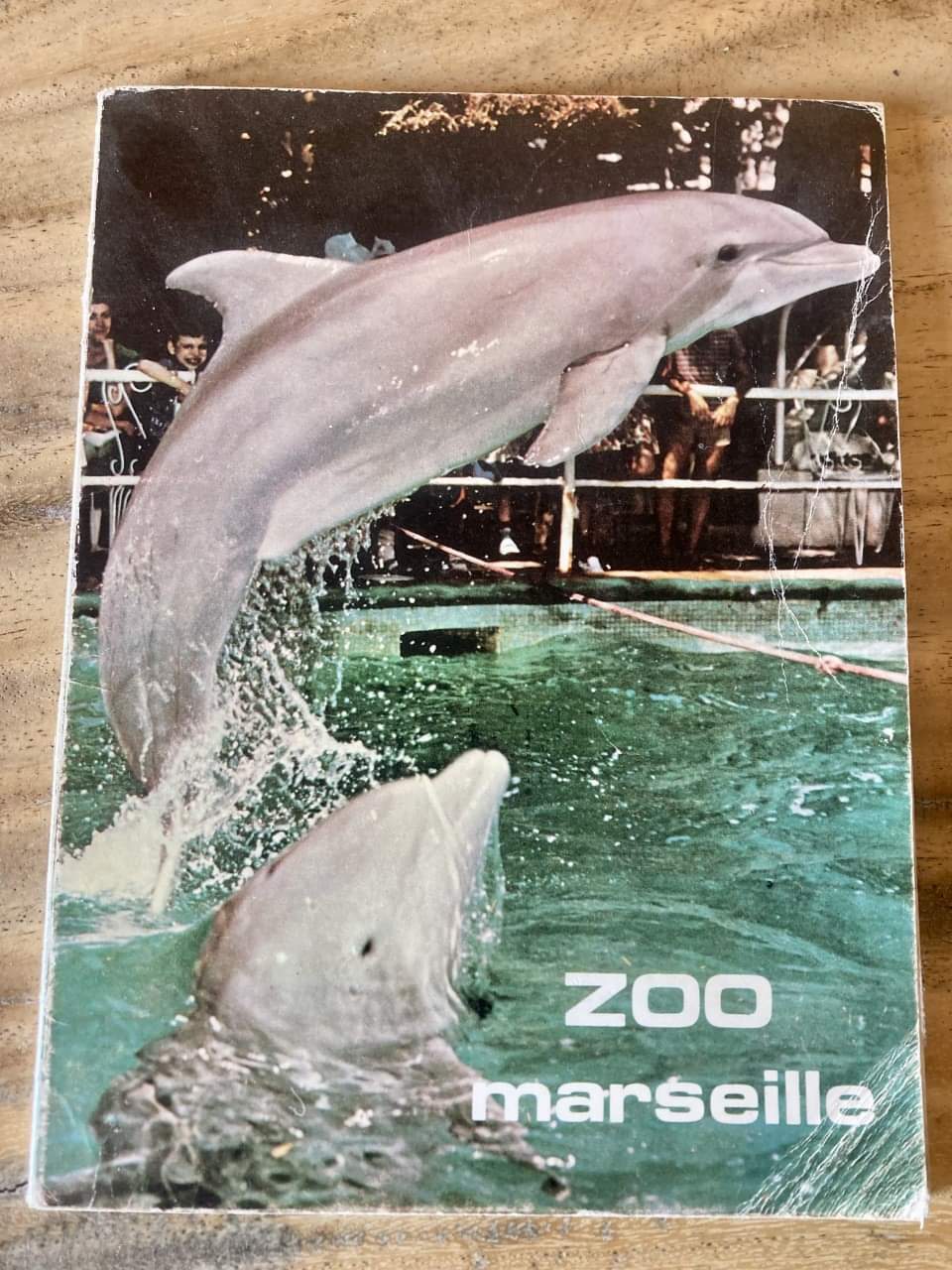 Guide zoo of Marseille (France) ZooChat