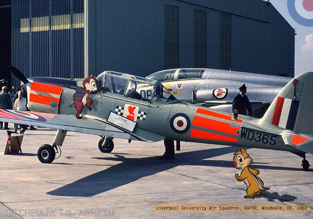 [Airfix] 1/48 - De Havilland Chipmunk T.10  - Page 2 Mzre