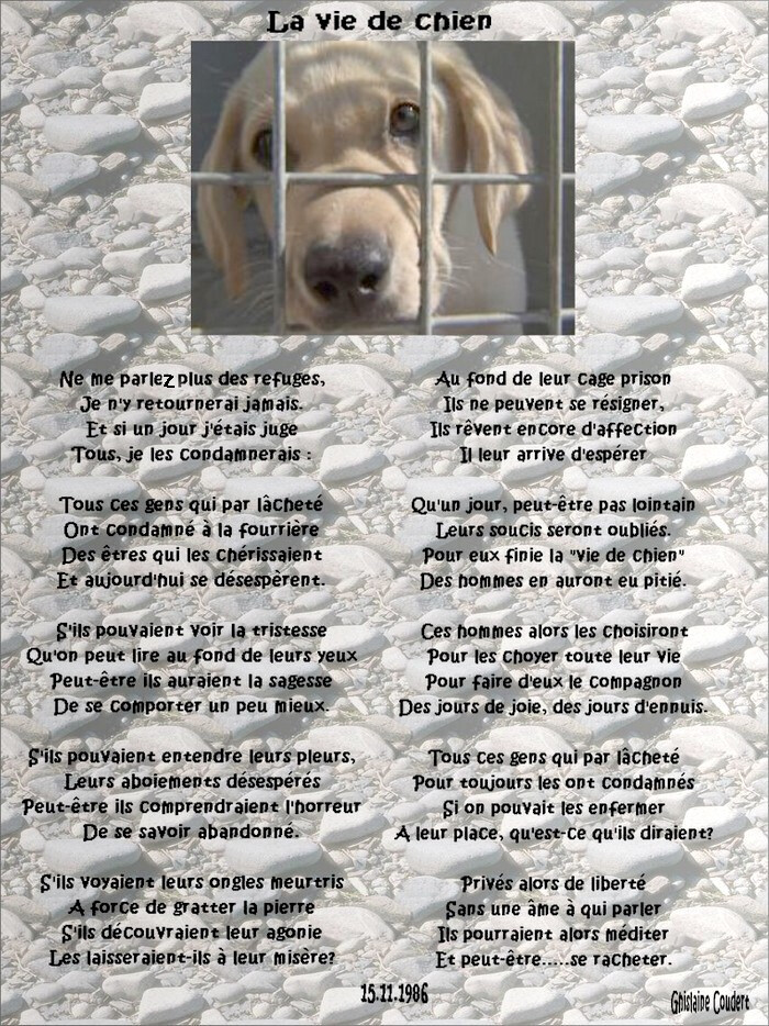 la vie de chien (en écho avec le poème "Cabotinages" de Stress 55) Rvjp
