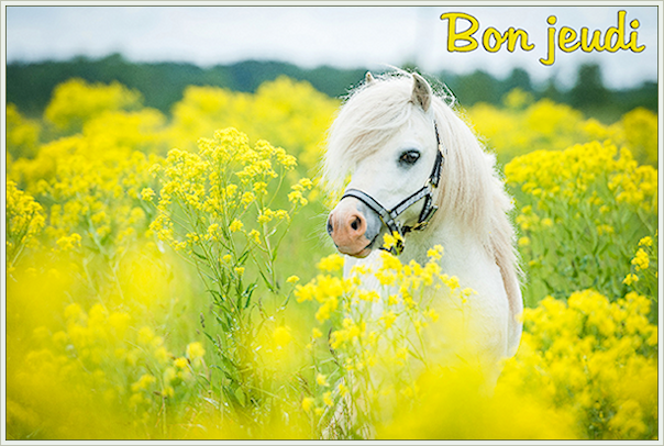 BONJOUR ET BONSOIR DE MAI...................................... - Page 2 6fby