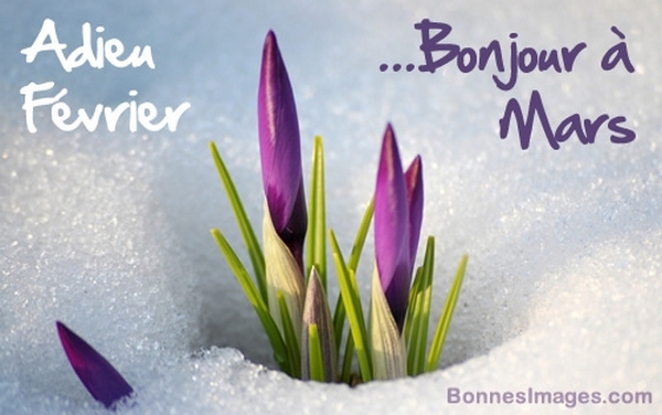 BONJOUR ET BONSOIR DE MARS Fyme