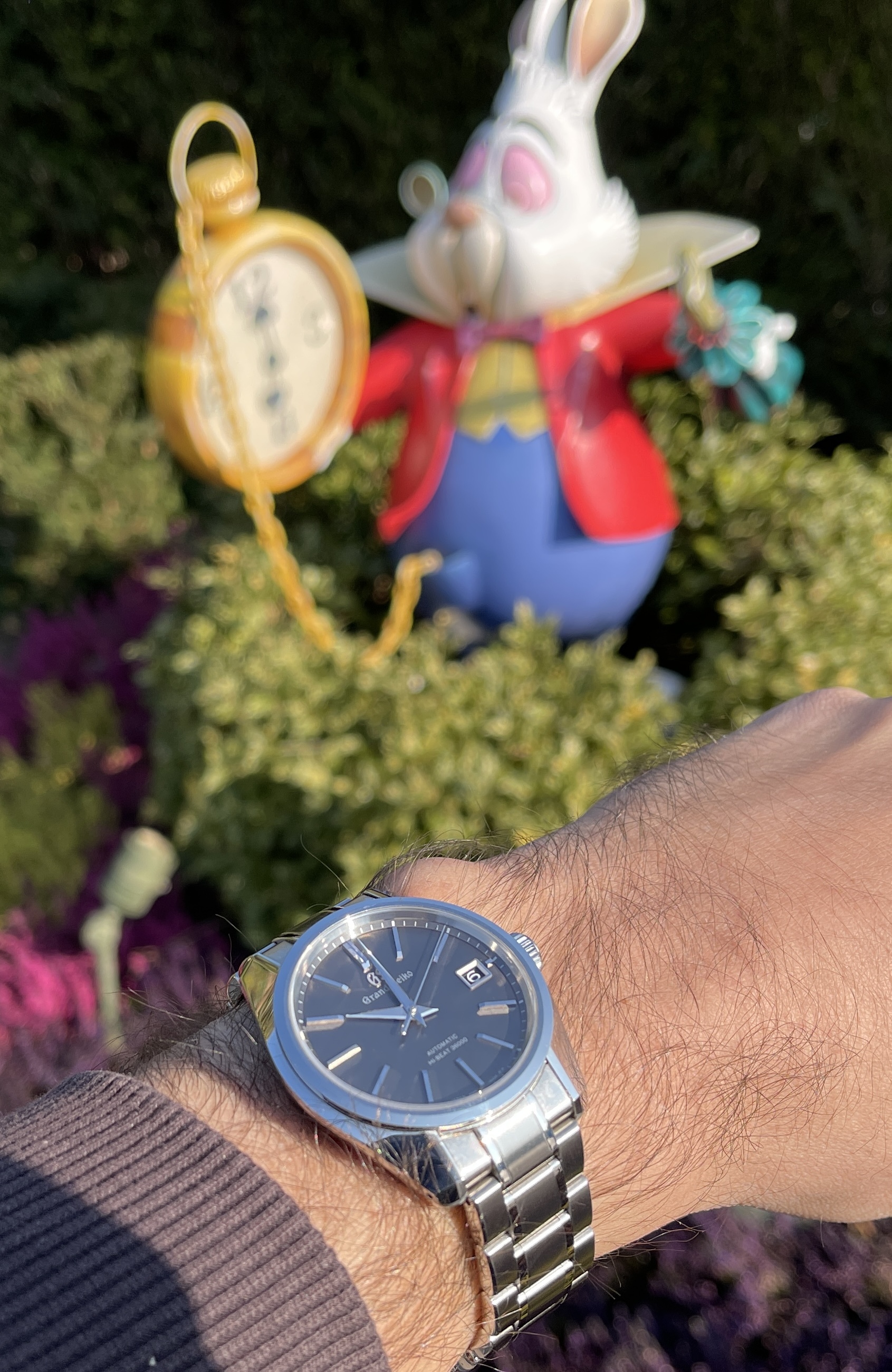 Nouveautés Seiko et Grand Seiko - tome 7 - Page 32 Wepp