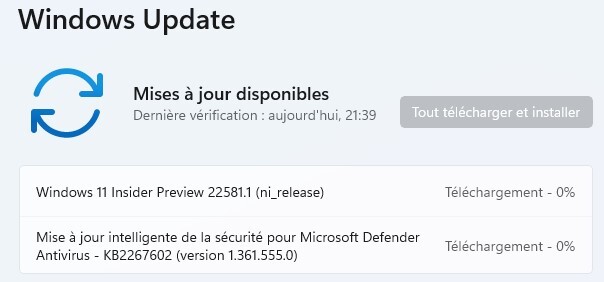 Windows 11 Insider Preview Build 22581.1 – Canal DEV et Beta N1kc