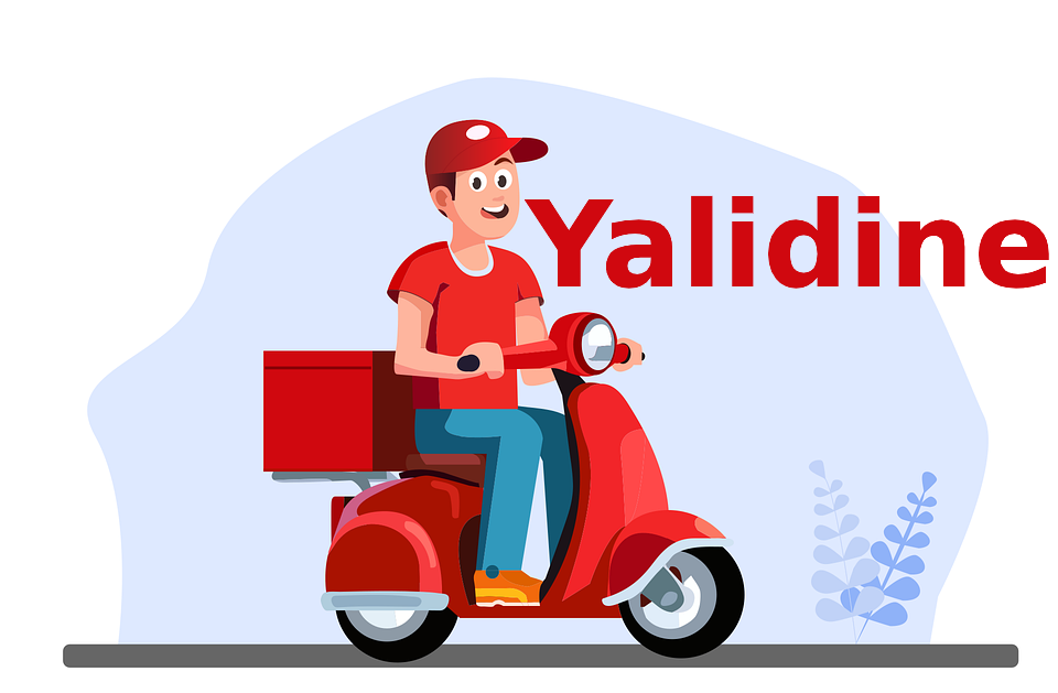 Livraison Yalidine Prix et tarifs de Yalidine Express – Guerfi Store