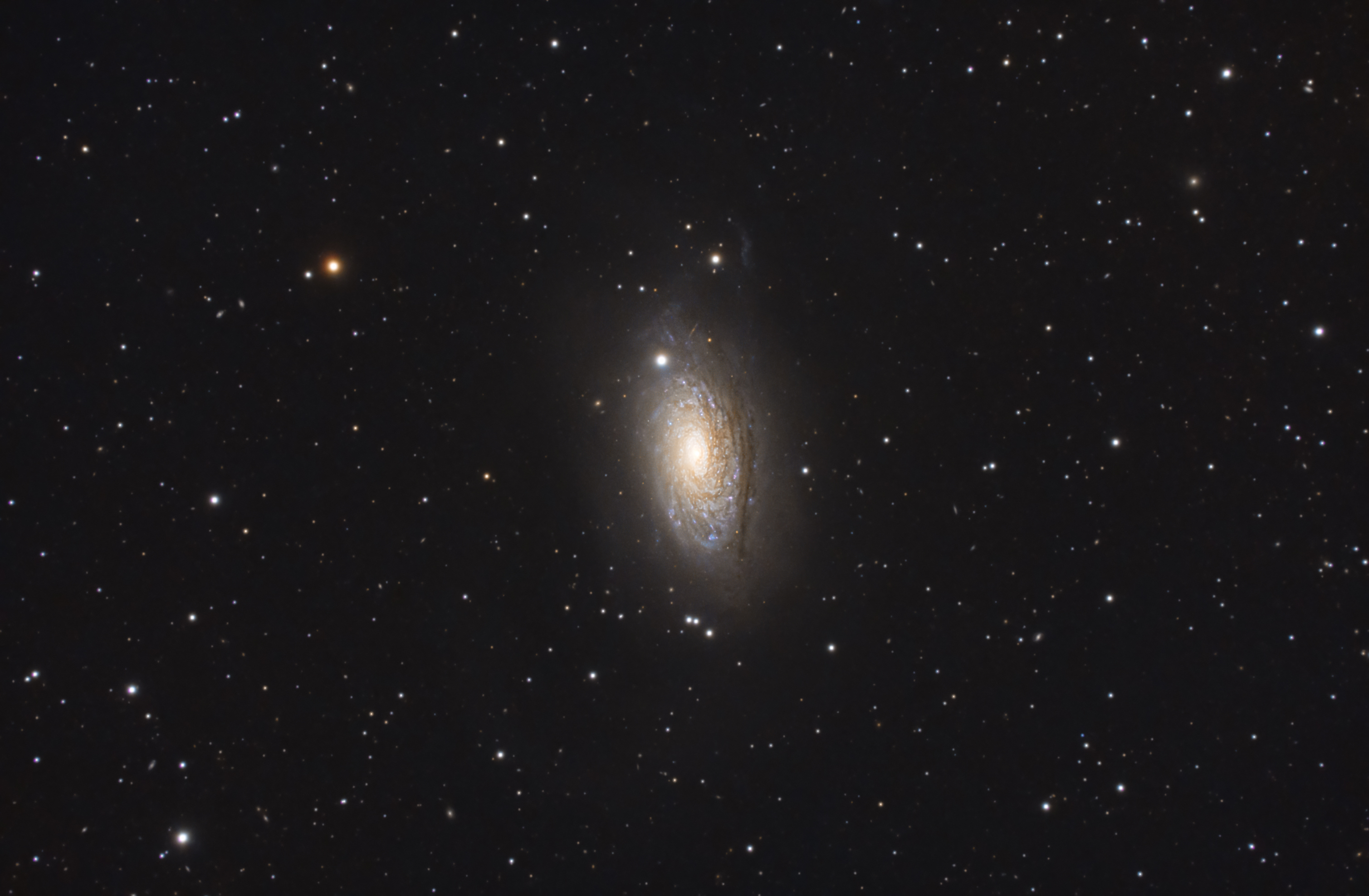 (Galaxie) M51 et M63 X620