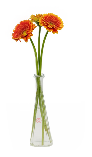 Tube- Misted -PNG- Vase- Fleurs 1wys