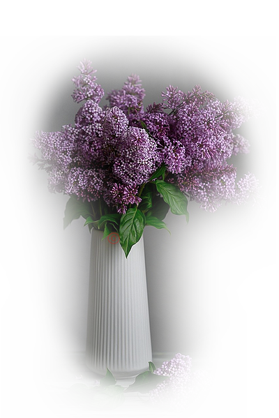 Tube- Misted -PNG- Vase- Fleurs 6ggk