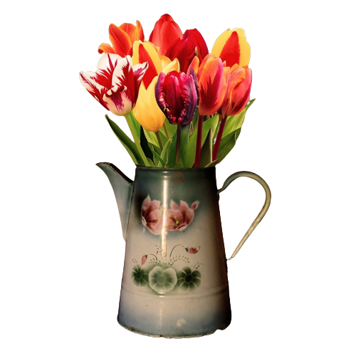 Tube- Misted -PNG- Vase- Fleurs 7hzh