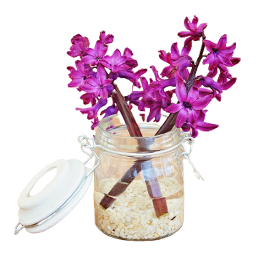 Tube- Misted -PNG- Vase- Fleurs W71y