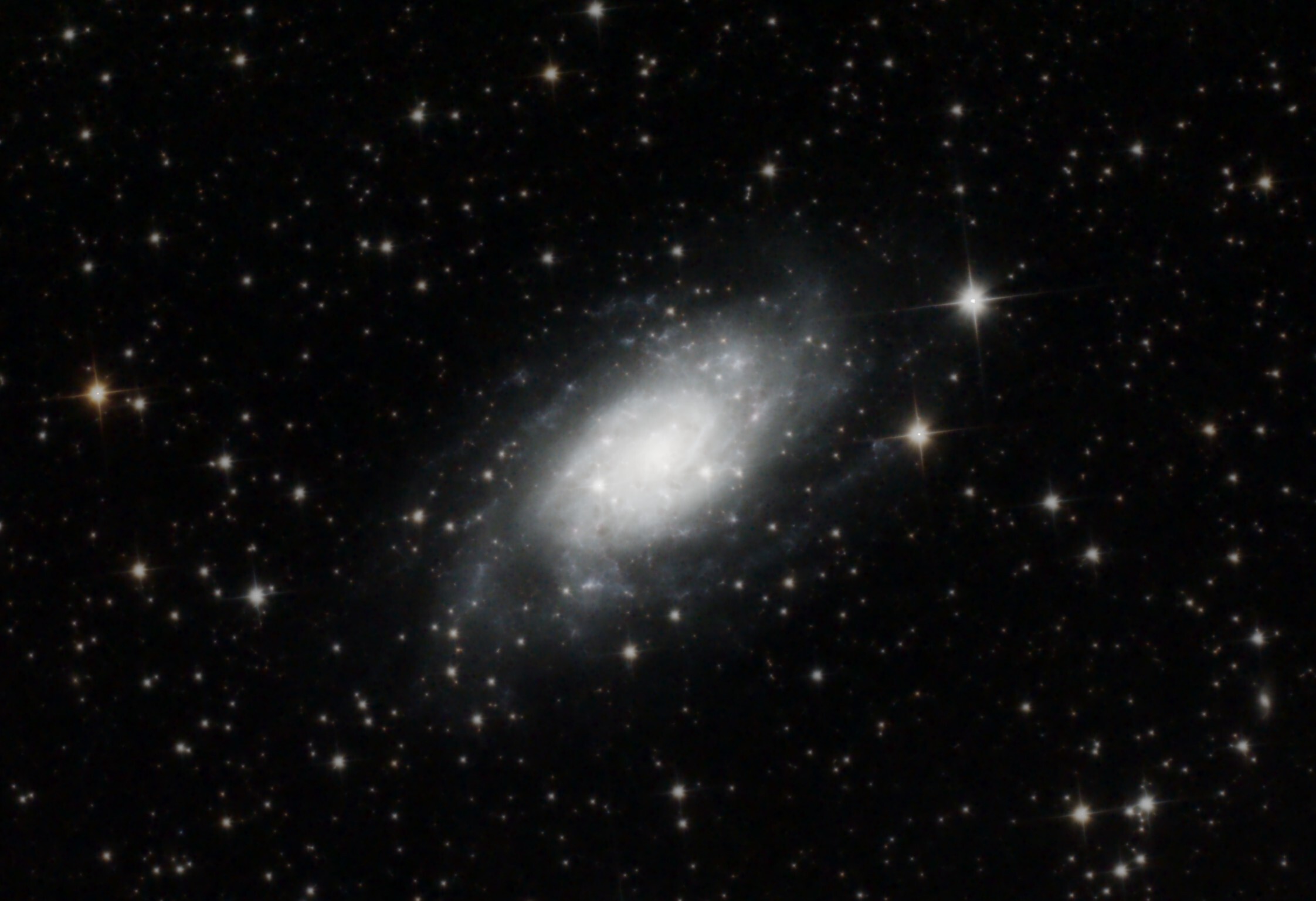 NGC2403 Vegl