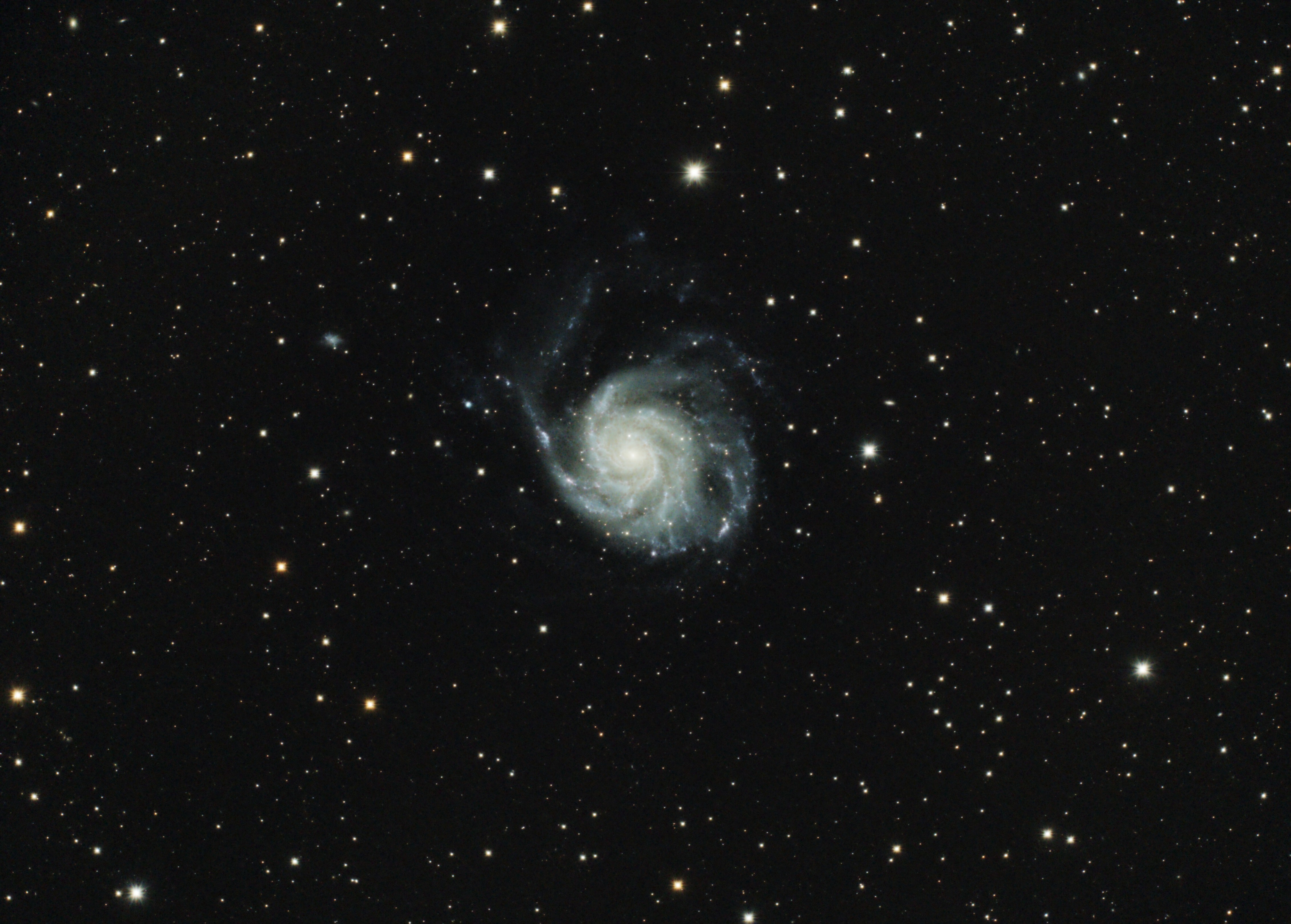M101 Wwfb