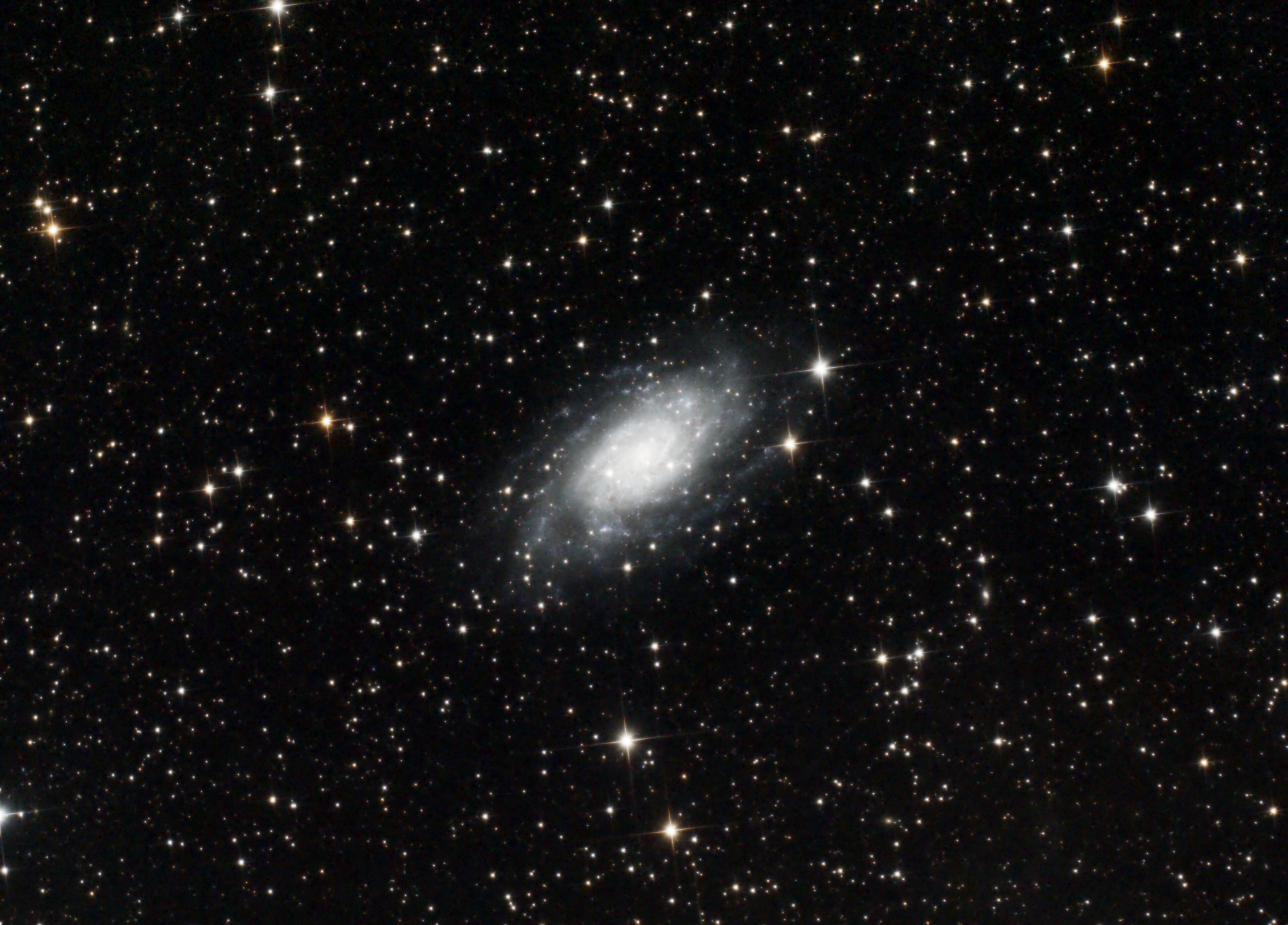 NGC2403 Zfil