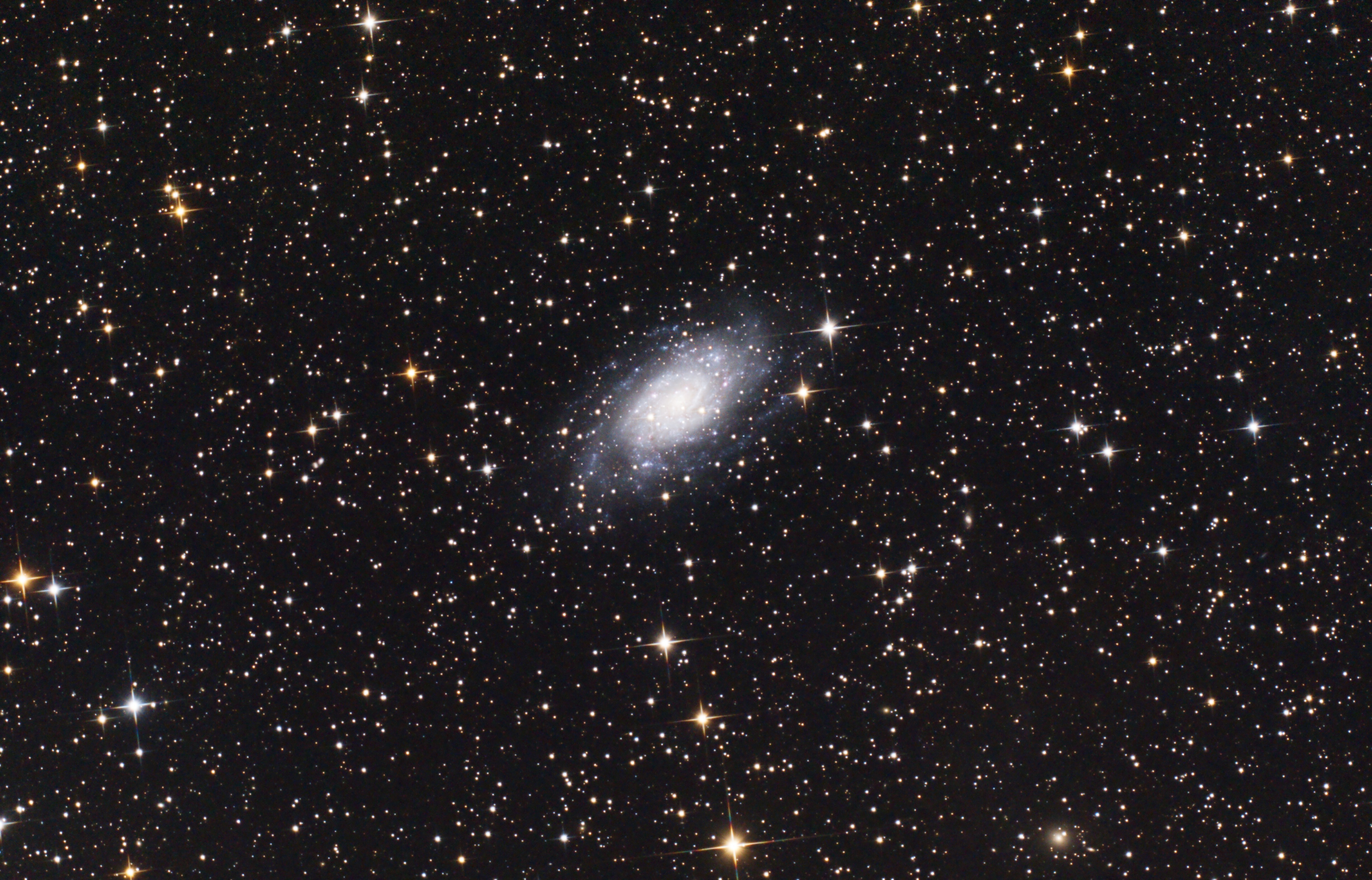 NGC2403 Ydw8