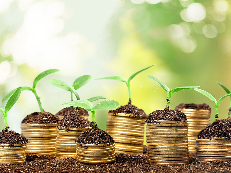 financeverte.eth Ethereum Name Service (ENS and .eth domain) PFP