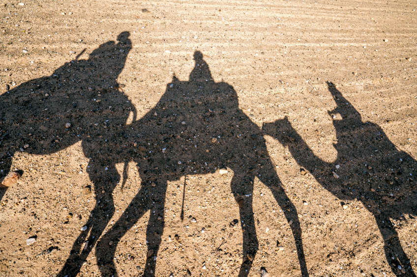Ombres dromadaires dans le désert Agafay