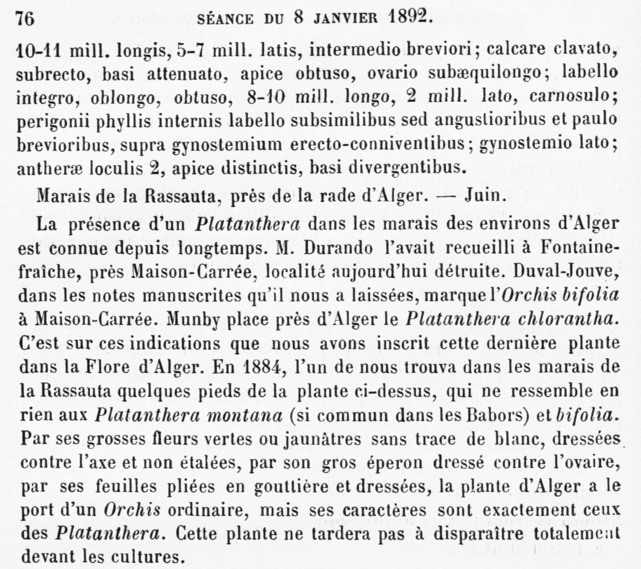 Platanthera de Salses (66) - Page 2 1bv9