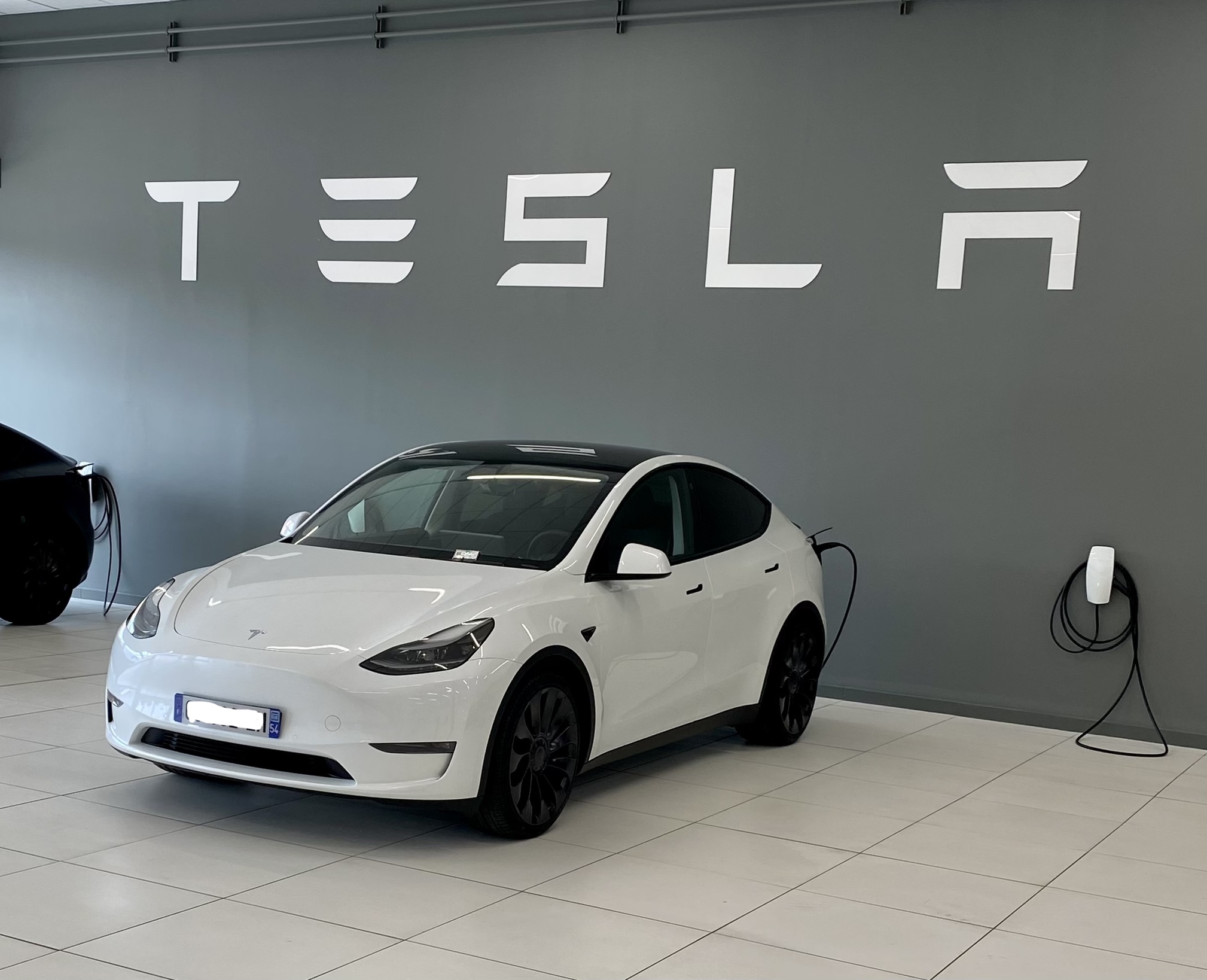 Model Y Performance blanc Forum et Blog Tesla