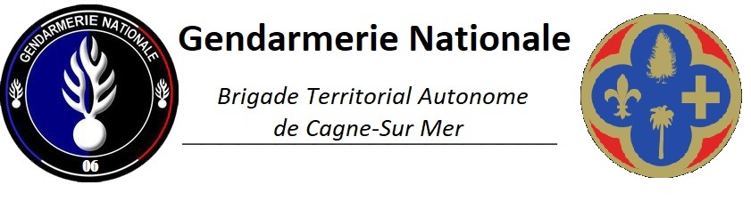 [Modèle] Dossier de formation - Gendarme Adjoint Volontaire - NOM Prénom - [JJ/MM/AAAA] 9be1
