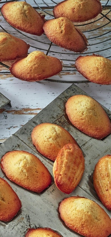 Madeleines à la vanille Jq2k