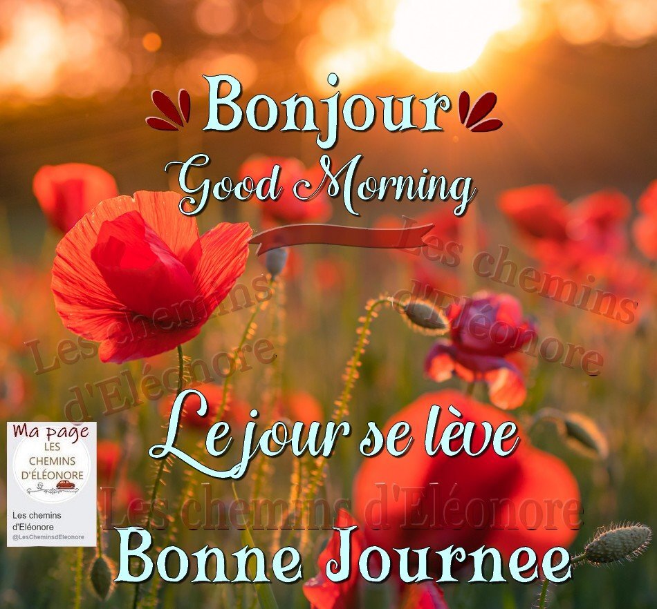 Bonjour et Bonne Journée