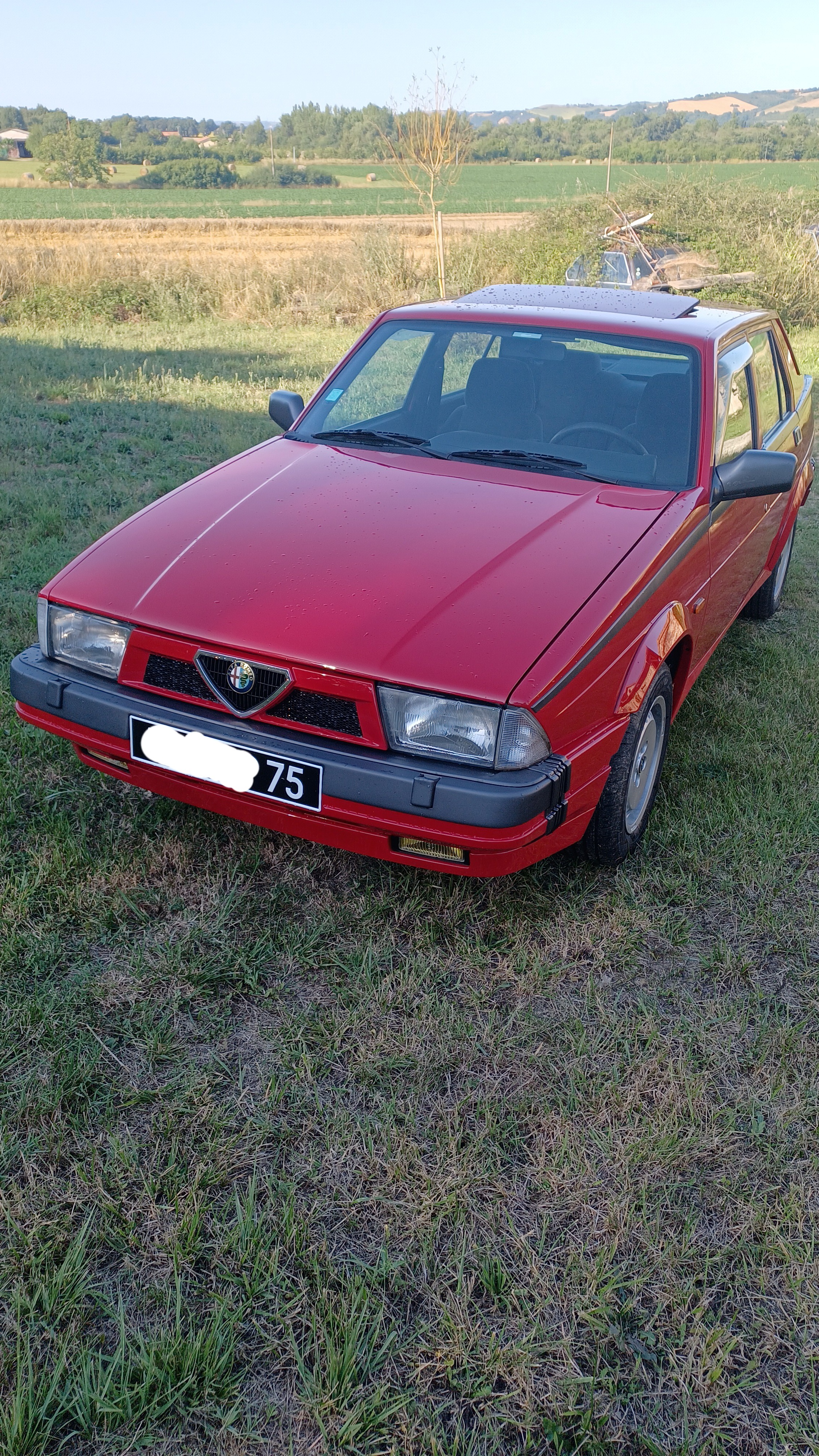 Ma petite alfa 75 v6 - Page 3 3rfv