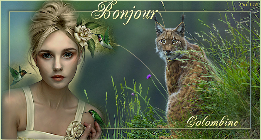 BONJOUR ET BONSOIR DE  JUILLET......................... - Page 3 Mcip