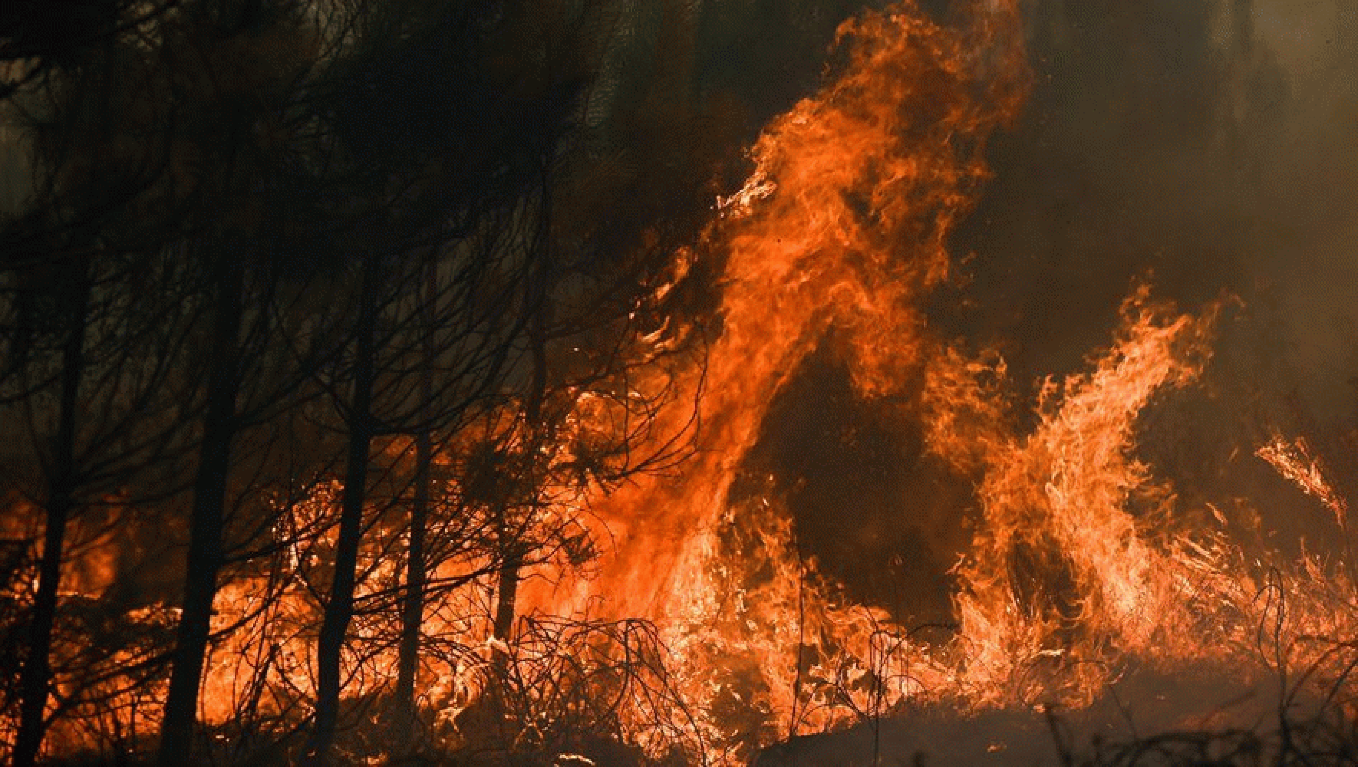 Canicule été 2022, quoi en penser? 2asp