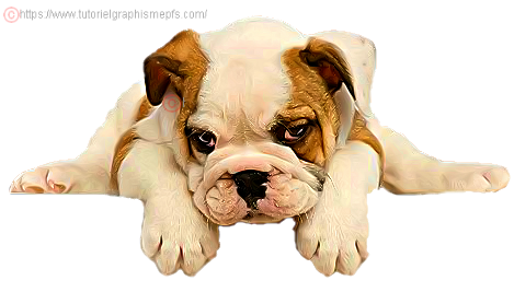 Tube PNG "Les animaux" "Les chiens" Bw2n