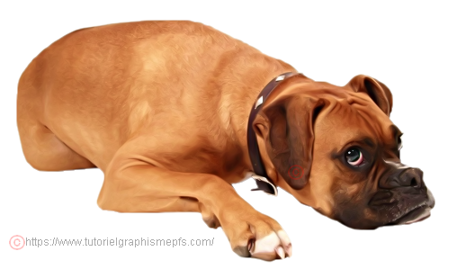 Tube PNG "Les animaux" "Les chiens" H9zn