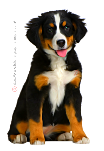 Tube PNG "Les animaux" "Les chiens" Wji9