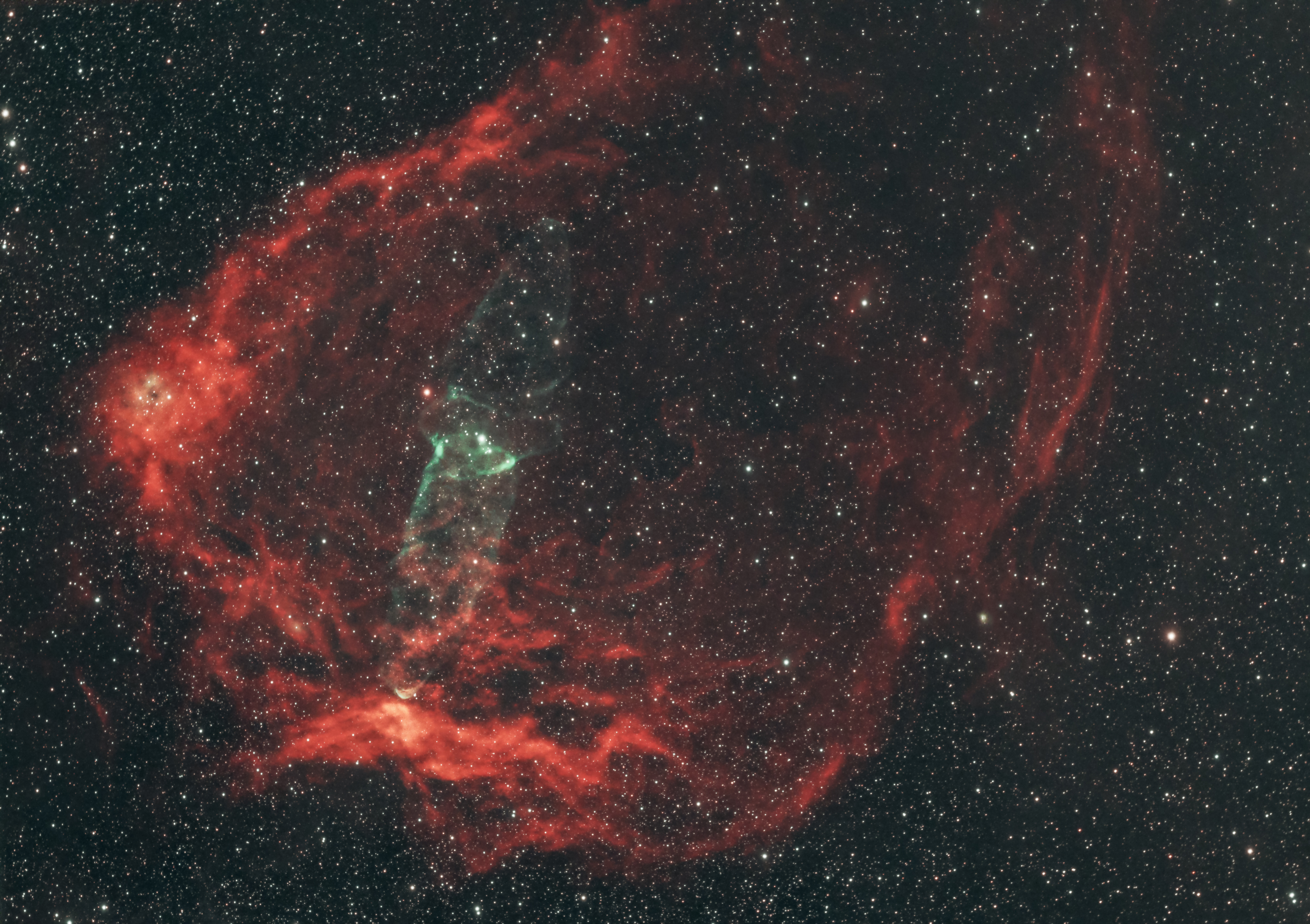 (Neb. EM) Flying Bat Nebula (SH2-129) + Squid Nebula (OU4) J8pp