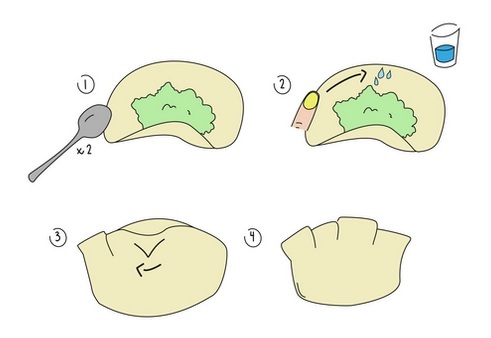 Gyozas champignons/tofu/légumes Wnje